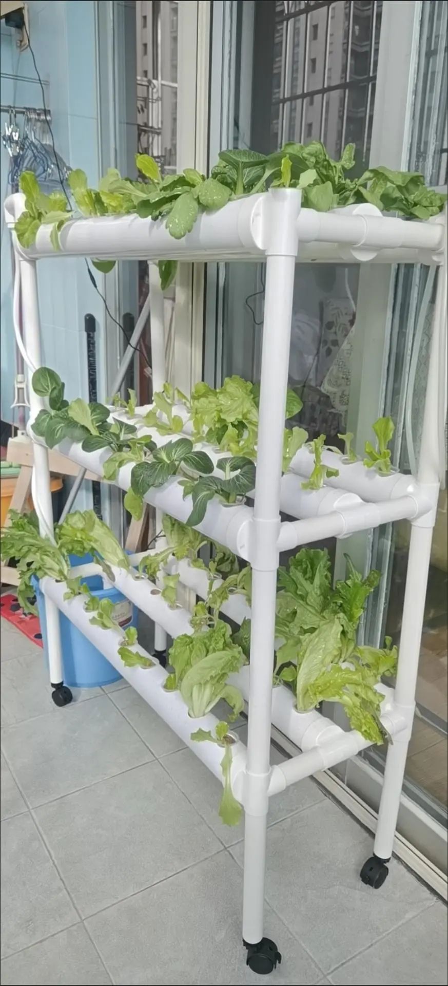 China Grow Tent Indoor Plants  - огляд і ціна Grow Tent 4X4
