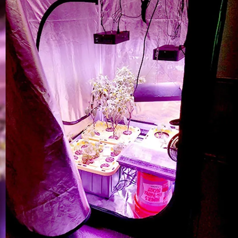 New Trend Grow Tent 4x4 for In - огляд і ціна Grow Tent 4X4